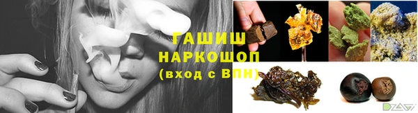 хмурый Арсеньев