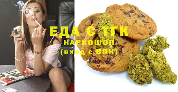 хмурый Арсеньев