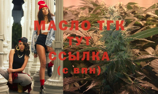 хмурый Арсеньев