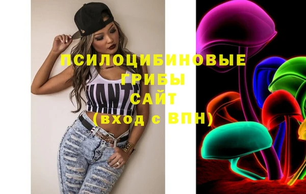 хмурый Арсеньев