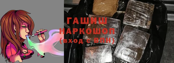 хмурый Арсеньев