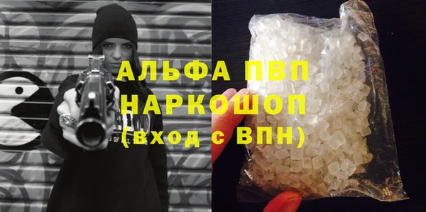 хмурый Арсеньев